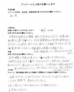 iacositiot pyepiermidbits. peaiñ marRi